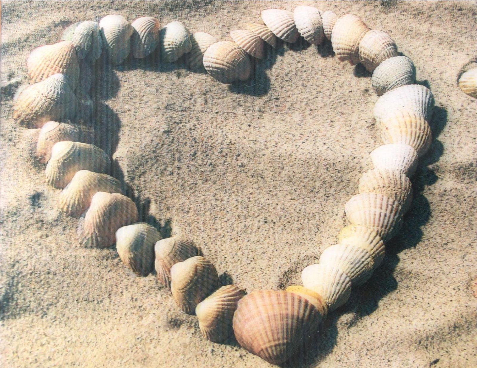 schelpen hart - Liefde