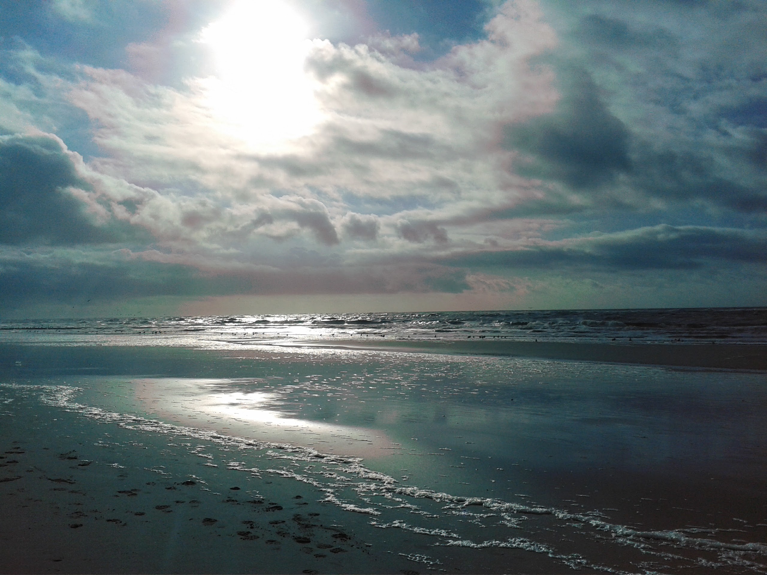 Schelpen Mozaiek - Geloof