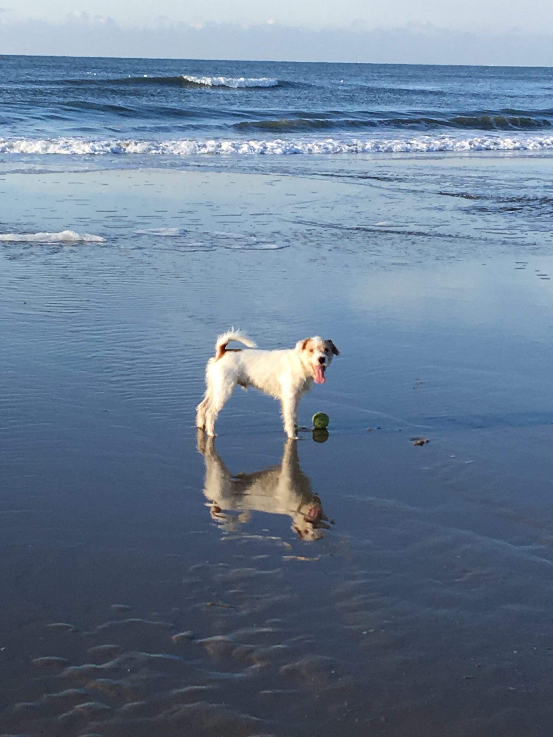 Schelpen Mozaiek - Geloof